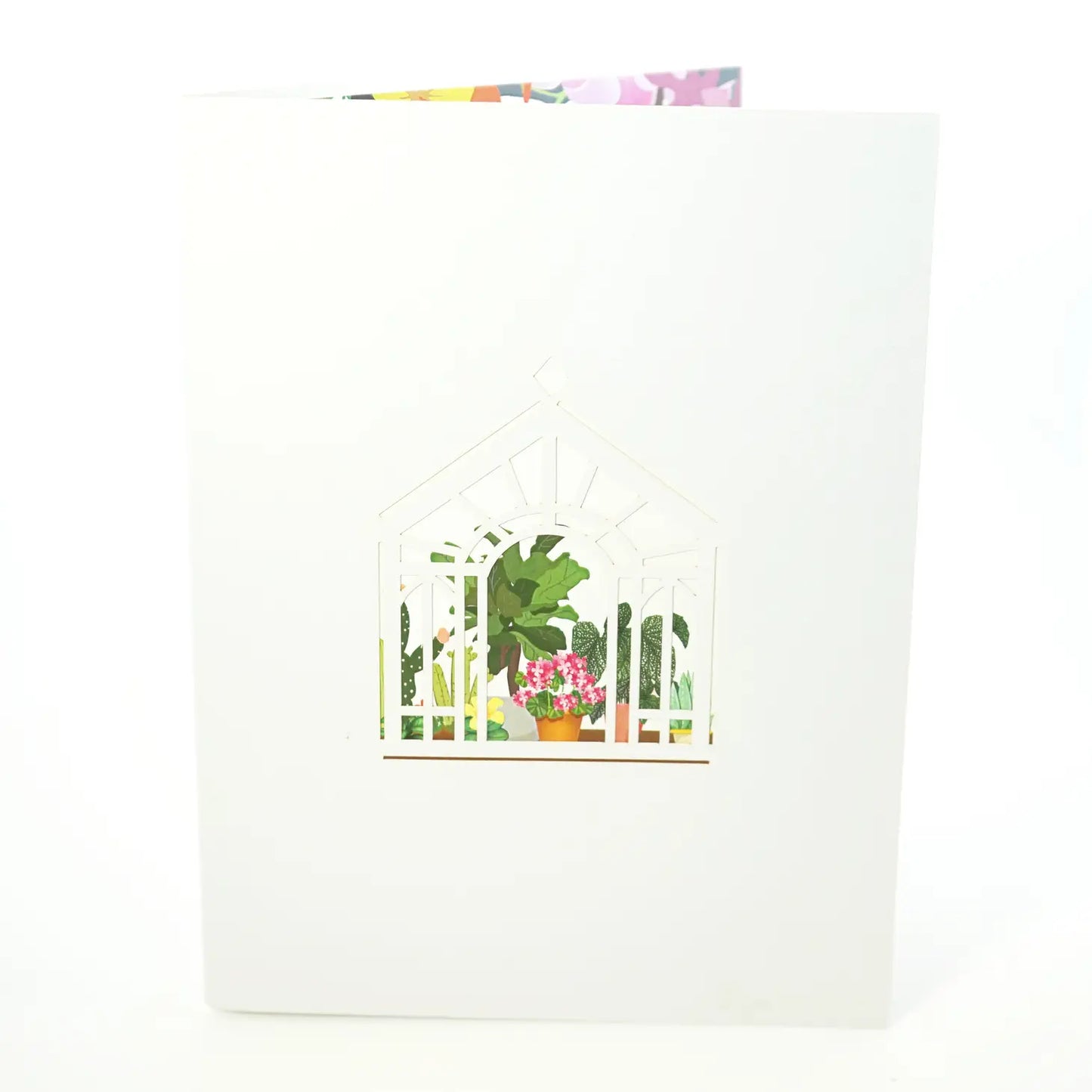 Wonder Paper Art - Greenhouse Pop Up Card
