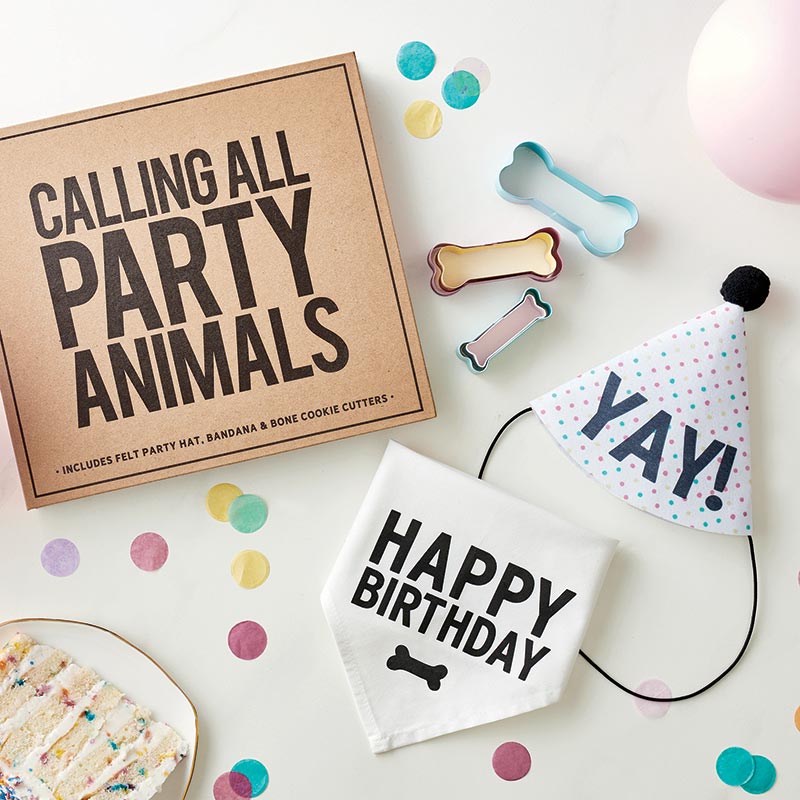 Pet Birthday Box by Santa Barbara Design Studio by Creative Brands
