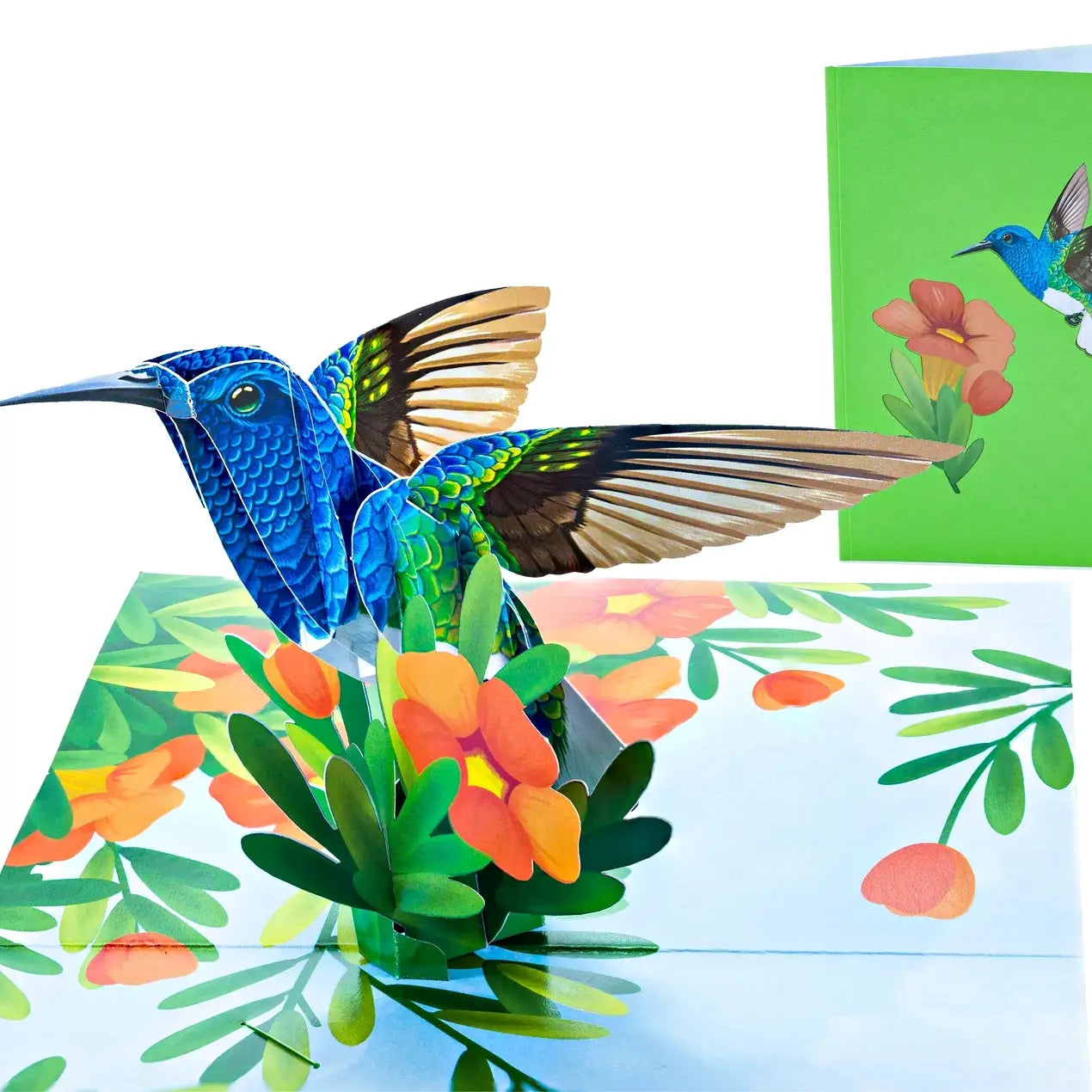 Wonder Paper Art - Hummingbird 3D Pop Up Card