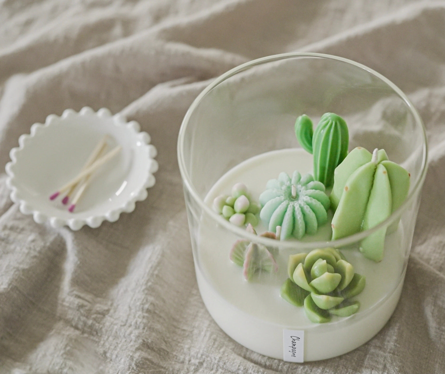 Terrarium Candle, Cactus Candle, Cool Candles