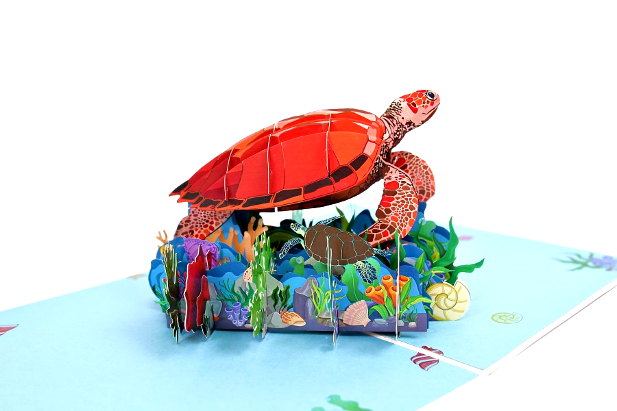 Wonder Paper Art - Turtle Pop Up Card