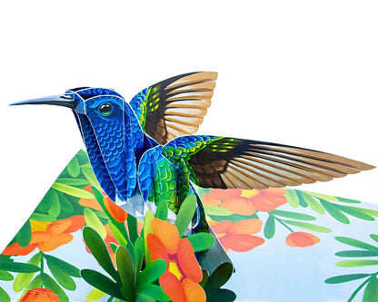 Wonder Paper Art - Hummingbird 3D Pop Up Card