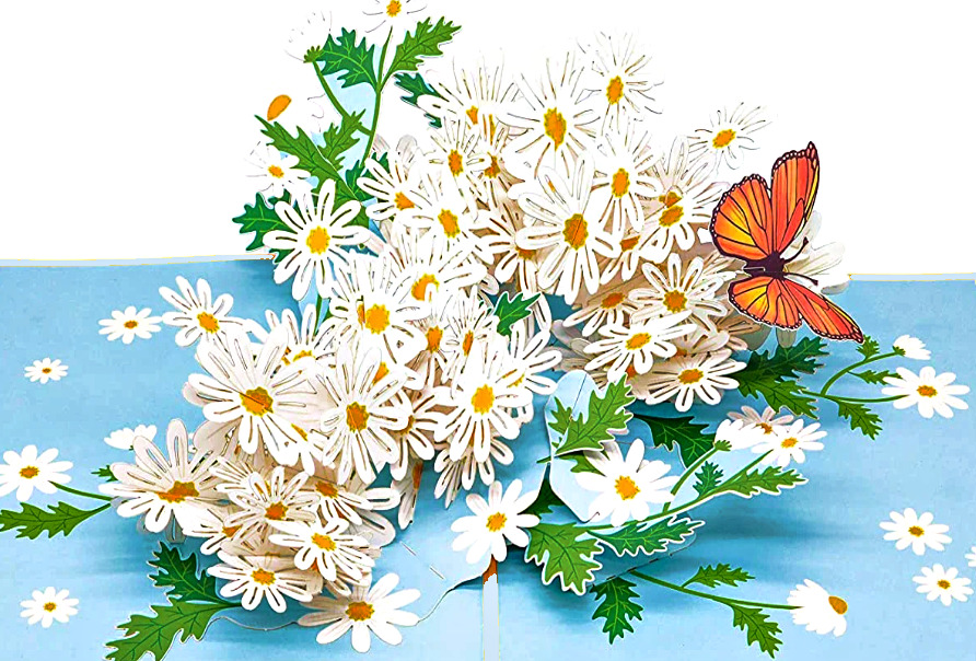 Wonder Paper Art - Daisies Flower 3D card/Mail For You